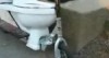 Toilet on Wheels