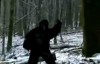 Bigfoot - Video