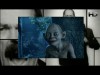 Gollum - The Scatman