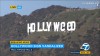 HOLLYWEED