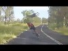 Kangaroo vs. Fahrradfahrer