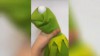 Kermit nach langen Arbeitstag