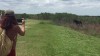 Pferd vs. Alligator