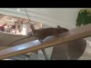 Ratte vs. Rolltreppe