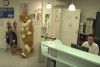 Remi Gaillard: Animal Planet