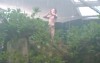 Remi Gaillard: Tarzan