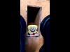 Spongebob Bass Dance