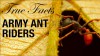 True Facts: Army Ant Riders